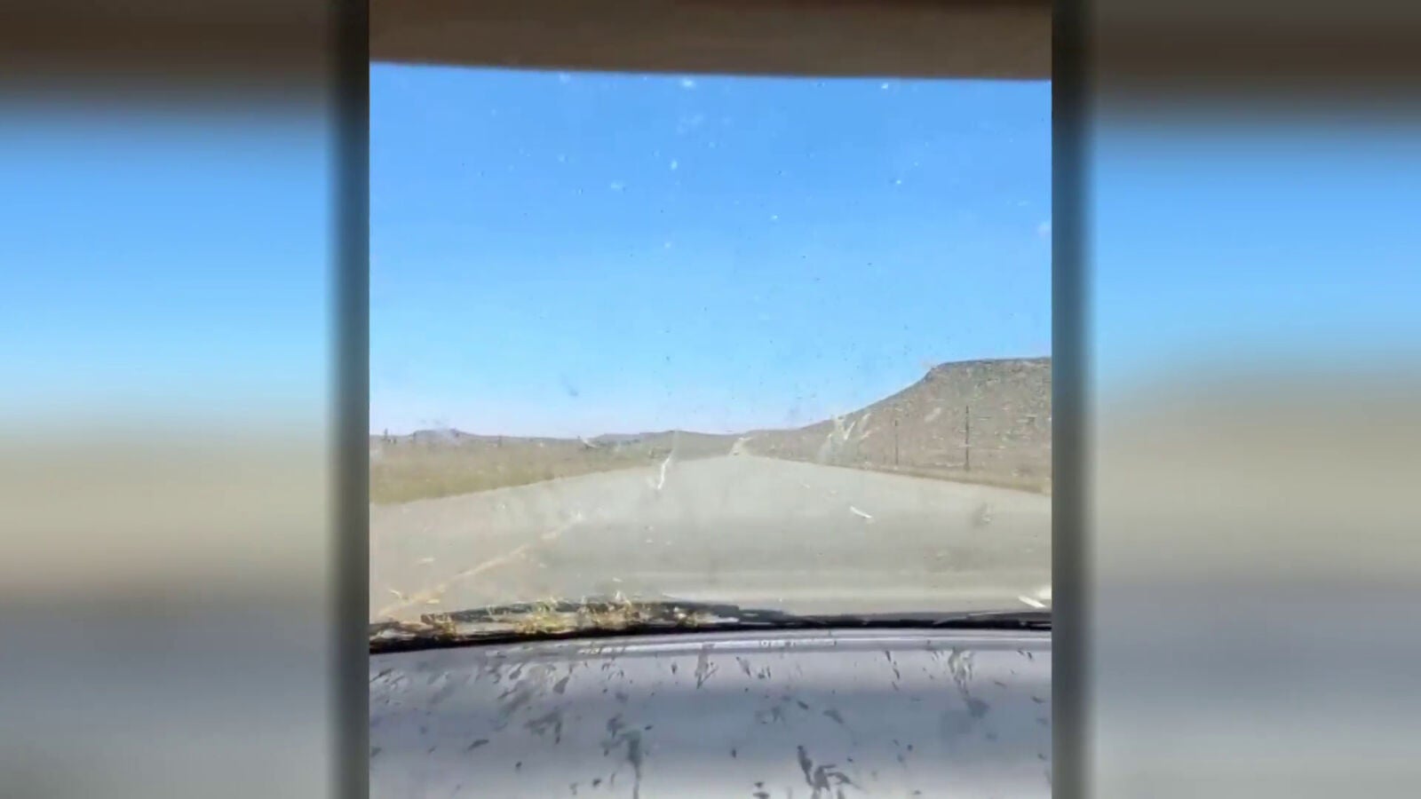 Una mujer graba en vídeo cómo una 'lluvia de saltamontes' impacta contra su coche en Sudáfrica
