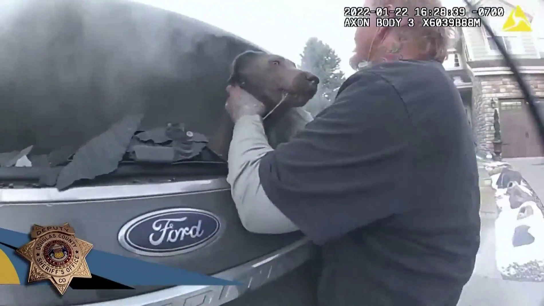 El vídeo del angustioso rescate de un perro atrapado en un coche en llamas en EEUU