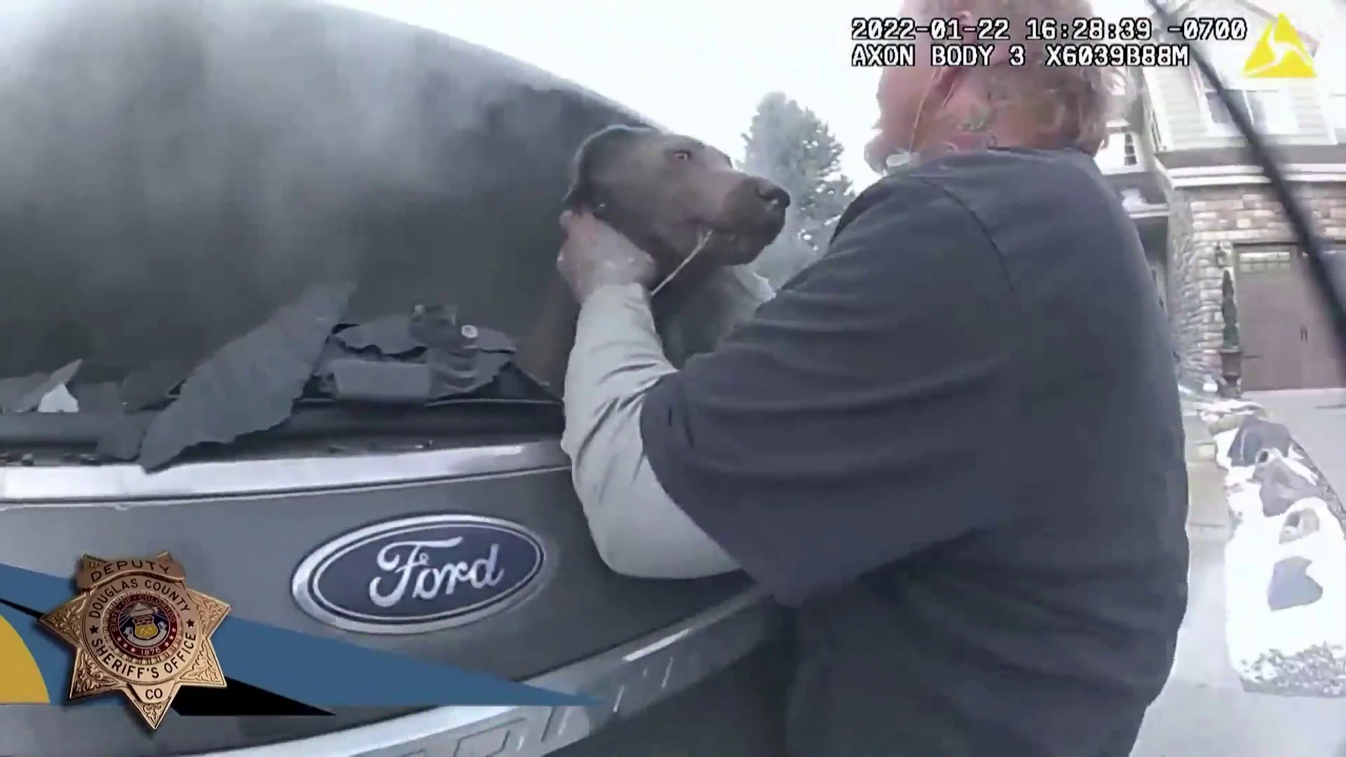El v&iacute;deo del angustioso rescate de un perro atrapado en un coche en llamas en EEUU