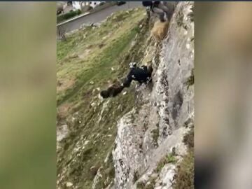 El espectacular rescate de una oveja en Gales 