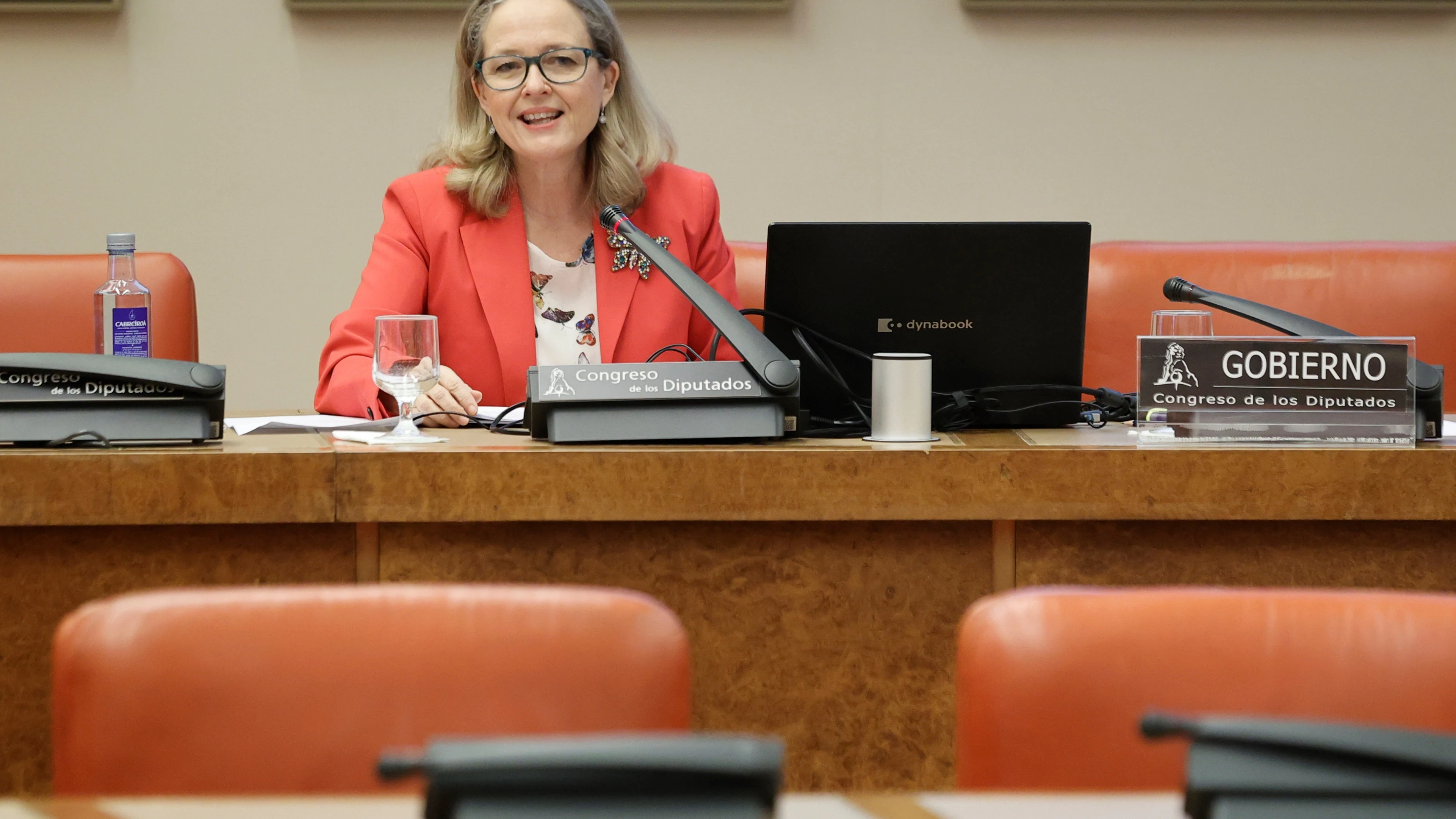 La vicepresidenta Nadia Calvi&ntilde;o