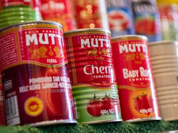 Latas de tomate frito Latas de tomate frito