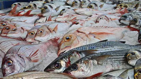 ¿Es verdad lo que se dice que el pescado de piscifactoría es 'malo'? ¿Es verdad lo que se dice que el pescado de piscifactoría es 'malo'?