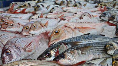 ¿Es malo el pescado de piscifactoría?