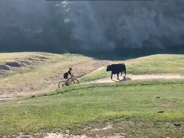 La brutal embestida de un toro a un ciclista en una competición de montaña en California La brutal embestida de un toro a un ciclista en una competición de montaña en California