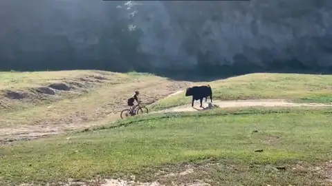 La brutal embestida de un toro a un ciclista en una competición de montaña en California La brutal embestida de un toro a un ciclista en una competición de montaña en California