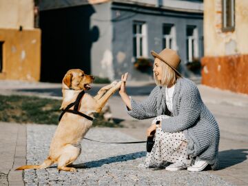 Día mundial de la esterilización animal 2022