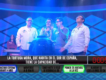 A punto de acertar… ¡por error!: Un curioso dato sobre las tortugas arrebata el pleno a ‘Sindulfos’ A punto de acertar… ¡por error!: Un curioso dato sobre las tortugas arrebata el pleno a ‘Sindulfos’