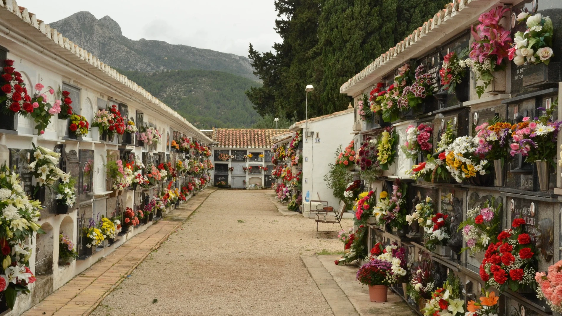 Un albañil acude al cementerio a trabajar y se encuentra la tumba de su hijo profanada