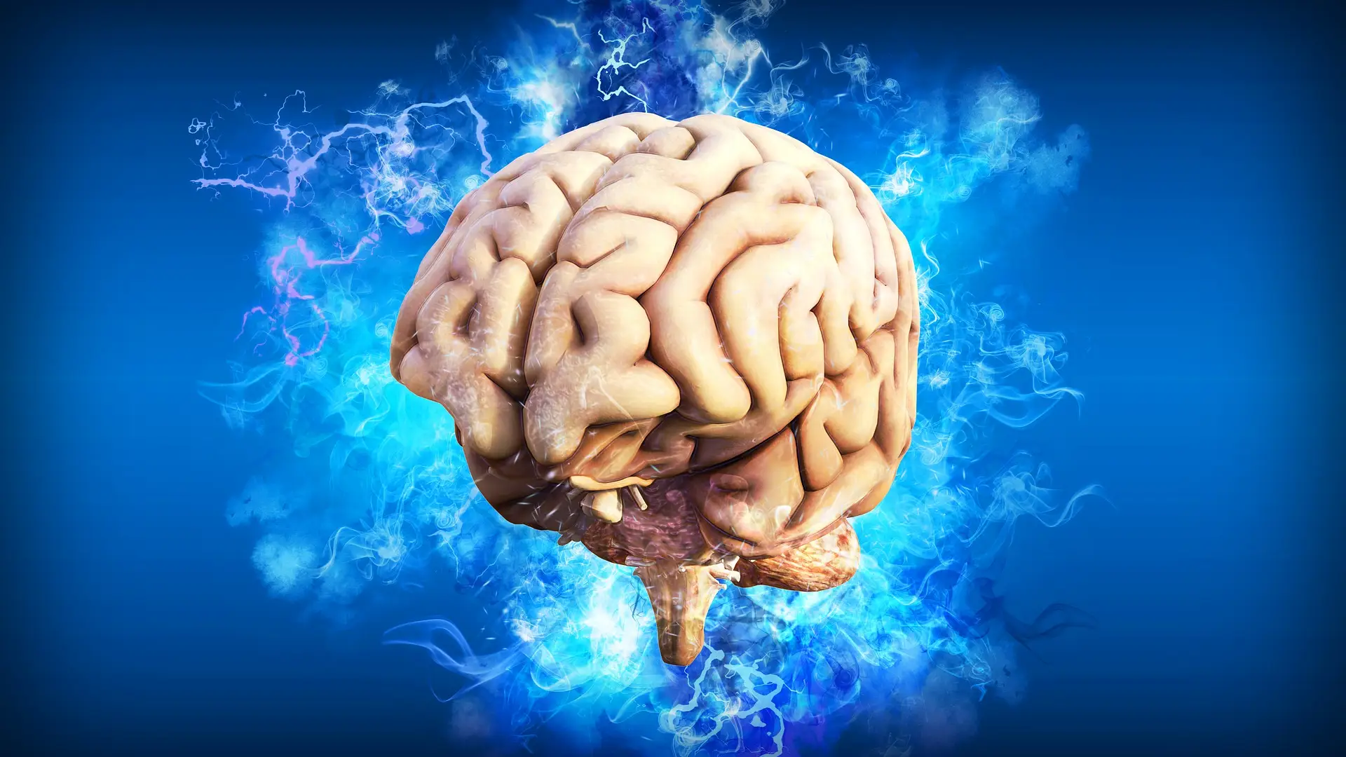 &iquest;Es cierto que se 've la vida pasar' cuando morimos? Esto dice un estudio sobre qu&eacute; ocurre en el cerebro