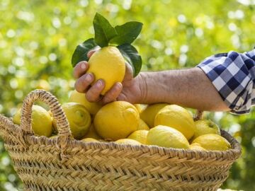 Cesta de limones