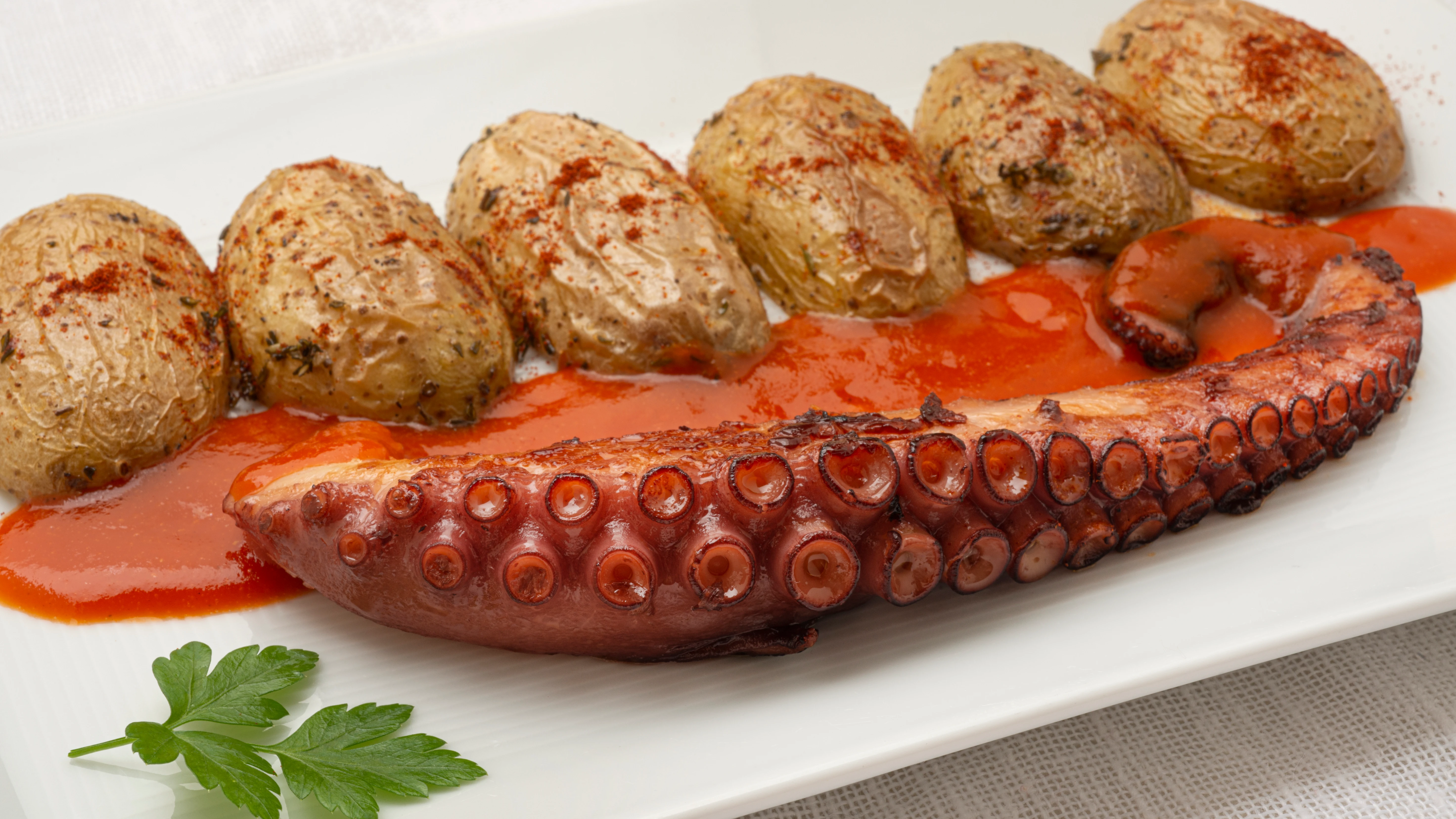 pulpo pulpo