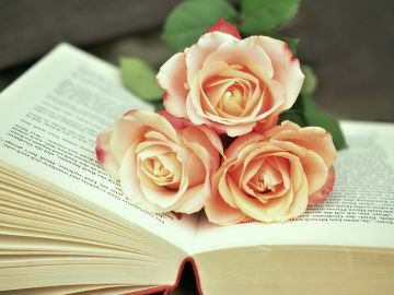 Libro con rosas
