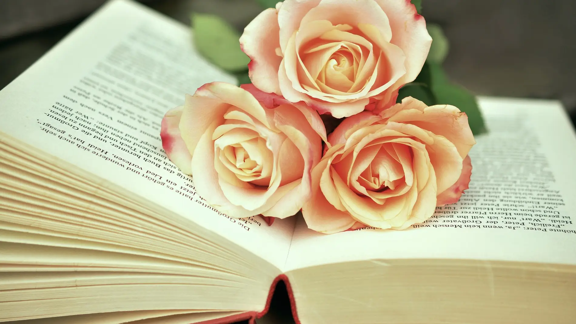 Libro con rosas