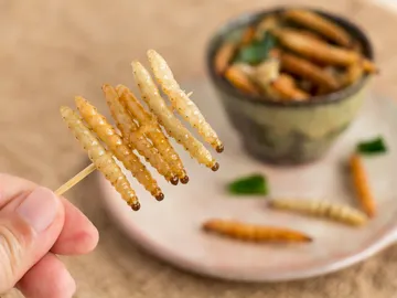 Palillo con gusanos comestibles Palillo con gusanos comestibles