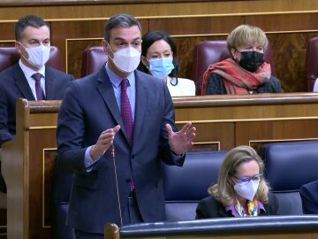 Pedro Sánchez, en el Congreso