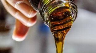 Aceite de semillas