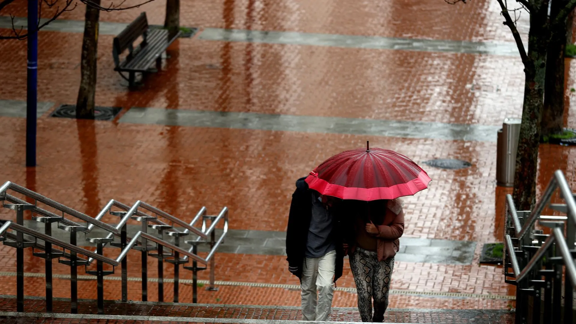 Lluvia Lluvia