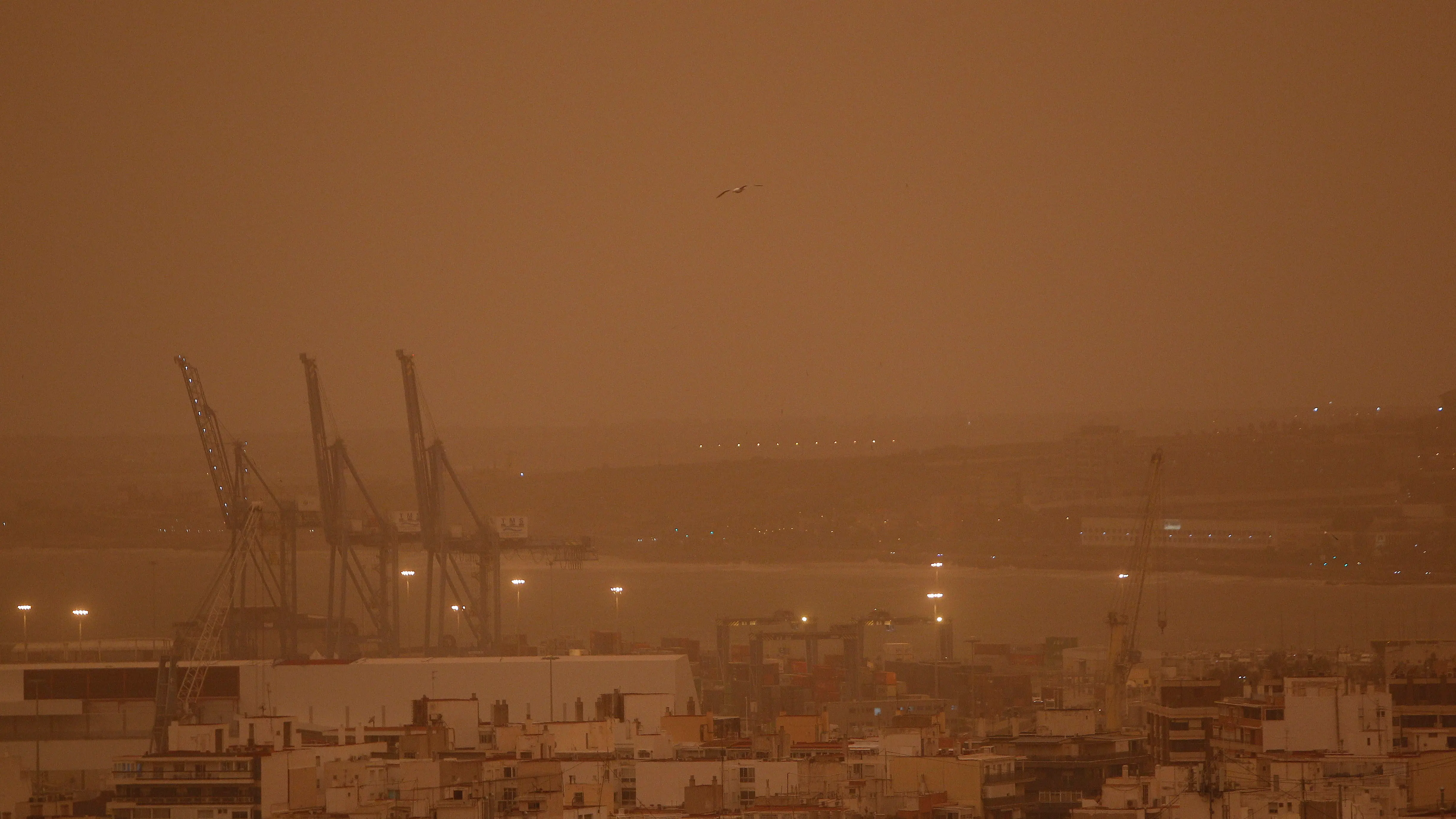 Puerto de Alicante bajo una nube de polvo en suspensi&oacute;n del S&aacute;hara