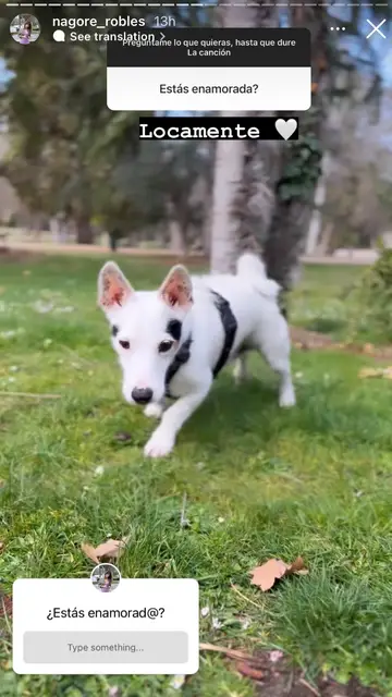 Nash, el perrito de Nagore Robles Nash, el perrito de Nagore Robles