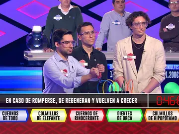 ‘Los ratones’ aseguran 600 euros en ‘¡Boom!’… ¡gracias a los rinocerontes! ‘Los ratones’ aseguran 600 euros en ‘¡Boom!’… ¡gracias a los rinocerontes!