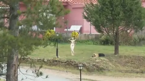 Masía de la Chaparra Masía de la Chaparra