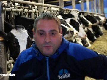 ¿Por qué la huelga de transportistas fuerza a los ganaderos a tirar la leche?