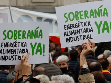 Manifestación de Vox en Madrid 