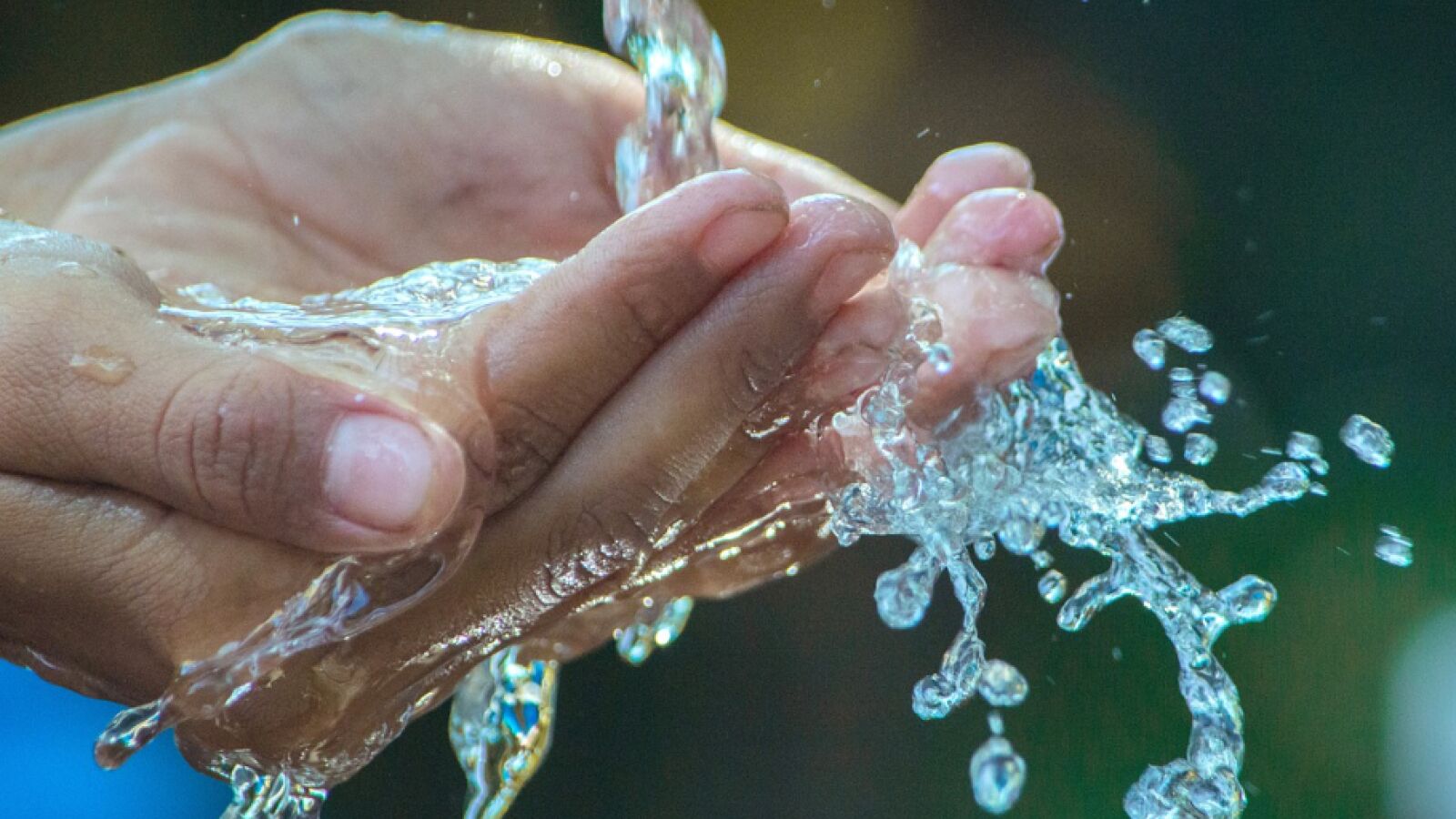 Día mundial del agua: 