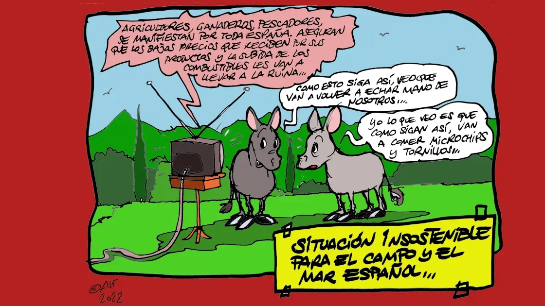 Vi&ntilde;eta gr&aacute;fica sobre la situaci&oacute;n del campo