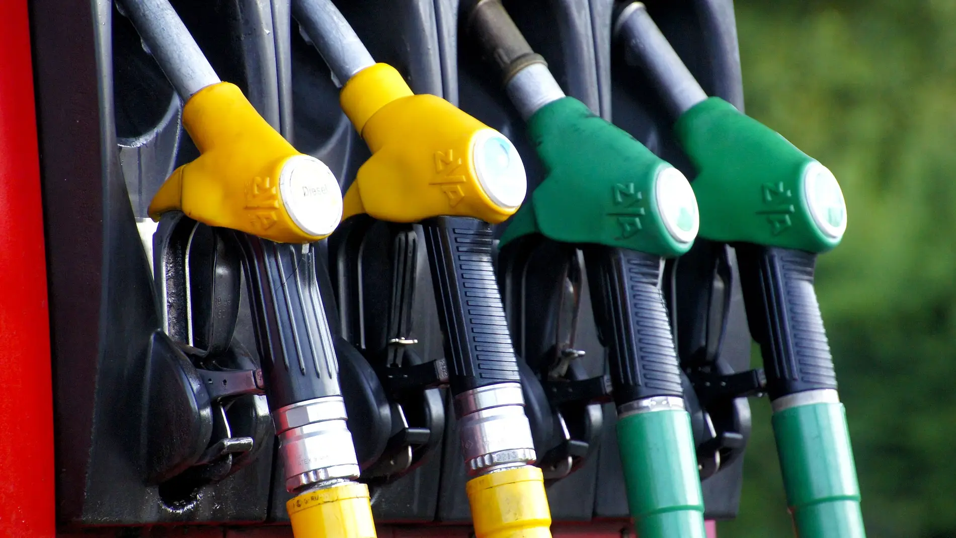 El precio de la gasolina El precio de la gasolina