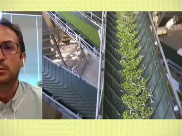 Pueblo aceitunero. Pueblo aceitunero.