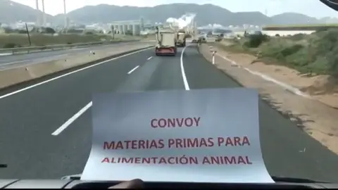 Ganaderos desesperados cogen camiones prestados y van en busca de pienso para salvar a sus animales: "Se mueren de hambre" Ganaderos desesperados cogen camiones prestados y van en busca de pienso para salvar a sus animales: "Se mueren de hambre"