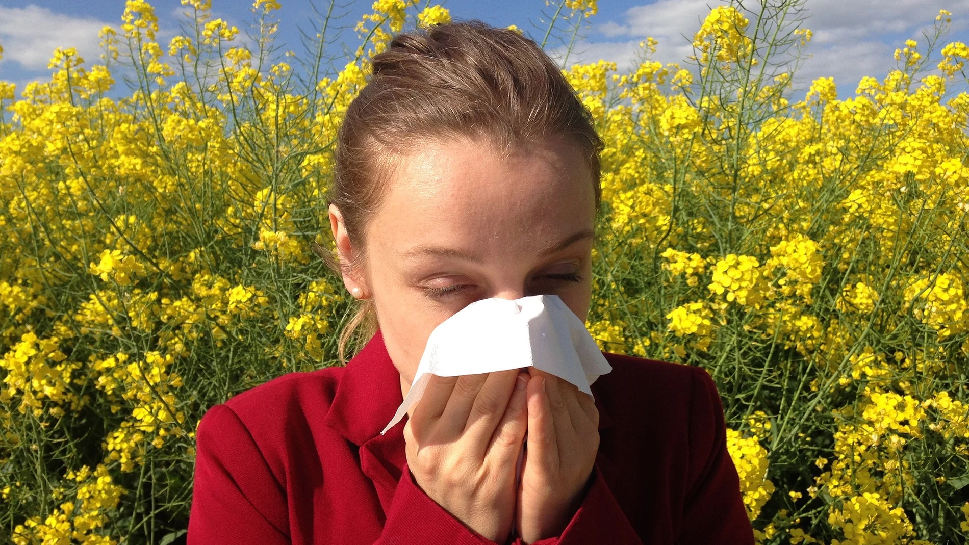 Así será la primavera para los alérgicos en España
