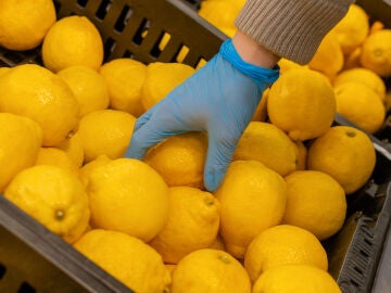 Comprador selecciona limones en el supermercado