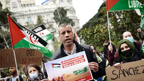 Manifestantes por el Sáhara Occidental en el Congreso de los Diputados Manifestantes por el Sáhara Occidental en el Congreso de los Diputados