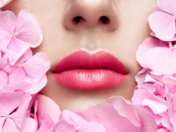 Labios gruesos Labios gruesos