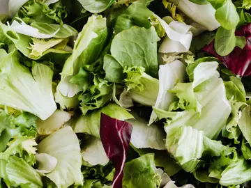 Lechuga Lechuga