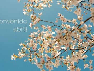 ¡Bienvenido abril! Las mejores frases para dar la bienvenida al nuevo mes
