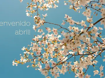 ¡Bienvenido abril! Las mejores frases para dar la bienvenida al nuevo mes ¡Bienvenido abril! Las mejores frases para dar la bienvenida al nuevo mes