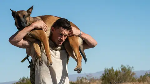 Channing Tatum llevando en brazos al perro de 'Dog. Un viaje salvaje' Channing Tatum llevando en brazos al perro de 'Dog. Un viaje salvaje'