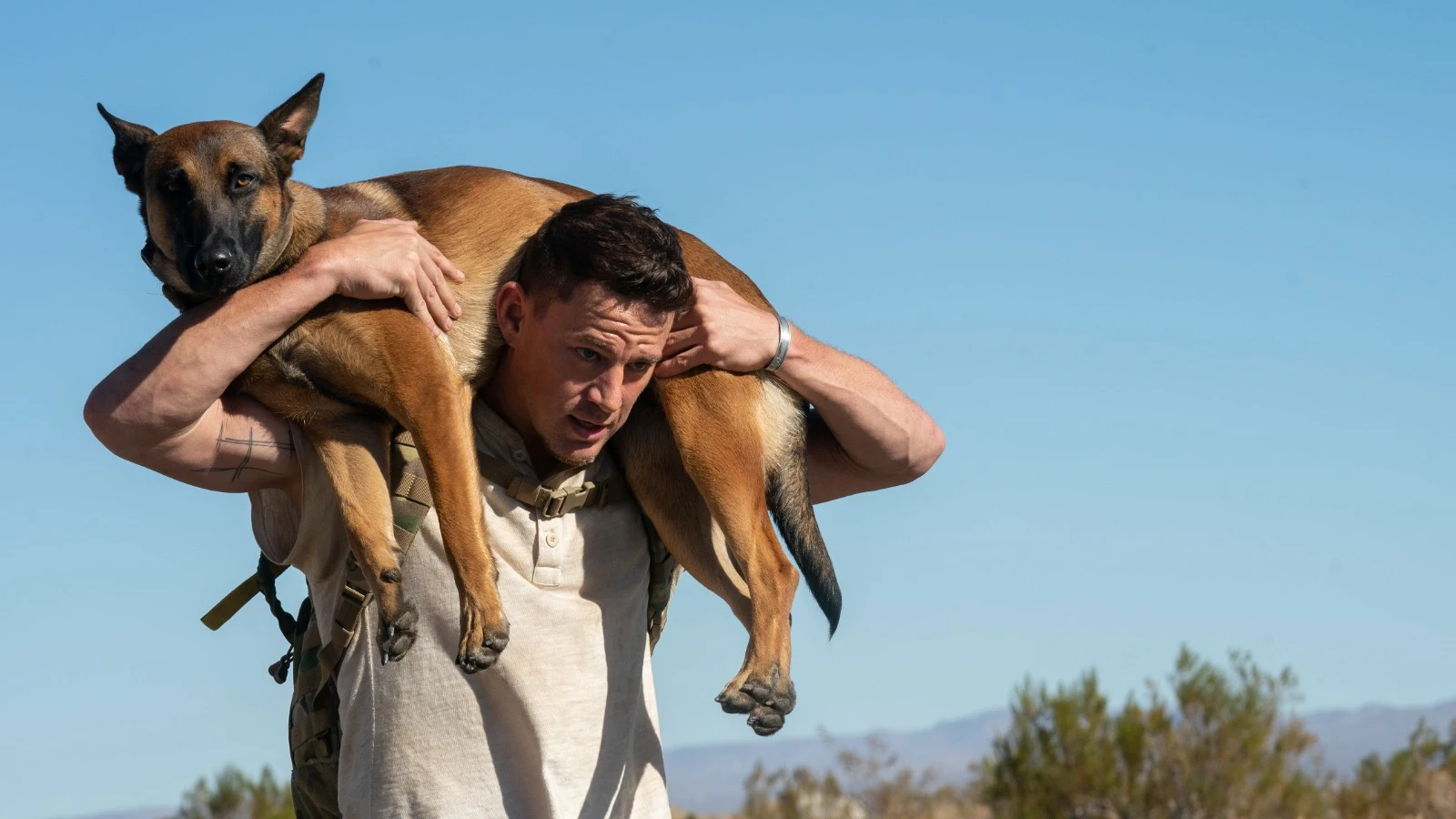 Channing Tatum llevando en brazos al perro de 'Dog. Un viaje salvaje' Channing Tatum llevando en brazos al perro de 'Dog. Un viaje salvaje'