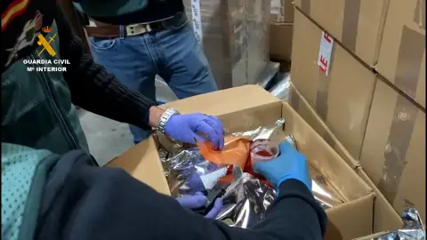 La Guardia Civil durante la Operación "Garden". La Guardia Civil durante la Operación "Garden".