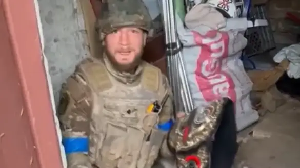 El momento en que Amosov recupera su cinturón de campeón del mundo El momento en que Amosov recupera su cinturón de campeón del mundo