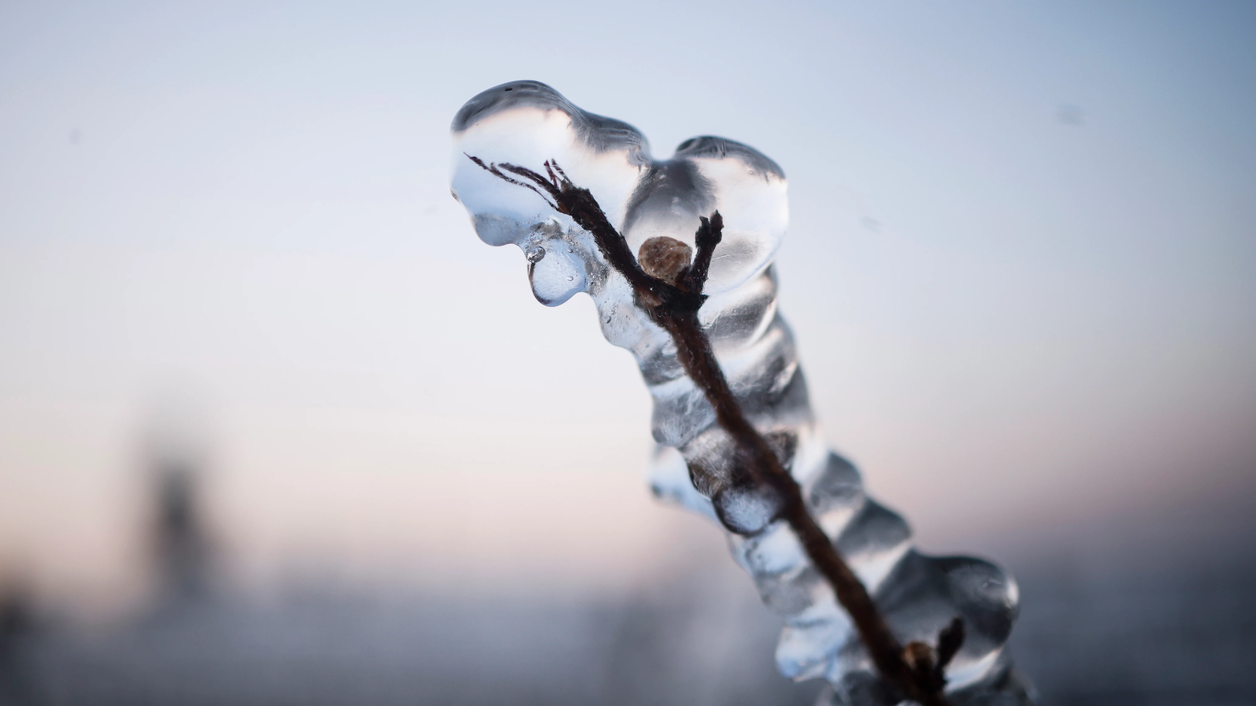 ¿Cuándo suben las temperaturas? Esta es la fecha en la que acabará el frío ¿Cuándo suben las temperaturas? Esta es la fecha en la que acabará el frío