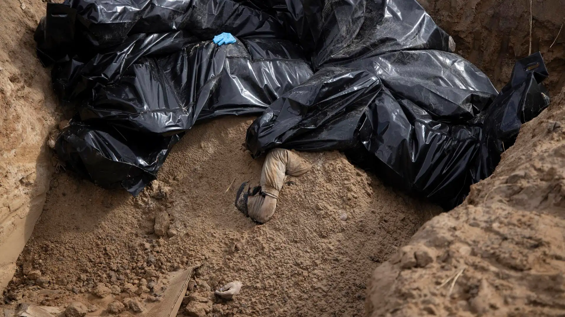 Encuentran a la alcaldesa de una localidad cerca de Kiev y a su familia en una fosa con las manos atadas Encuentran a la alcaldesa de una localidad cerca de Kiev y a su familia en una fosa con las manos atadas