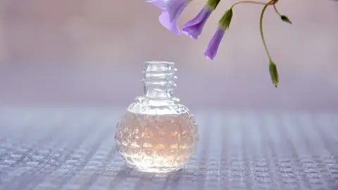 Perfume Perfume