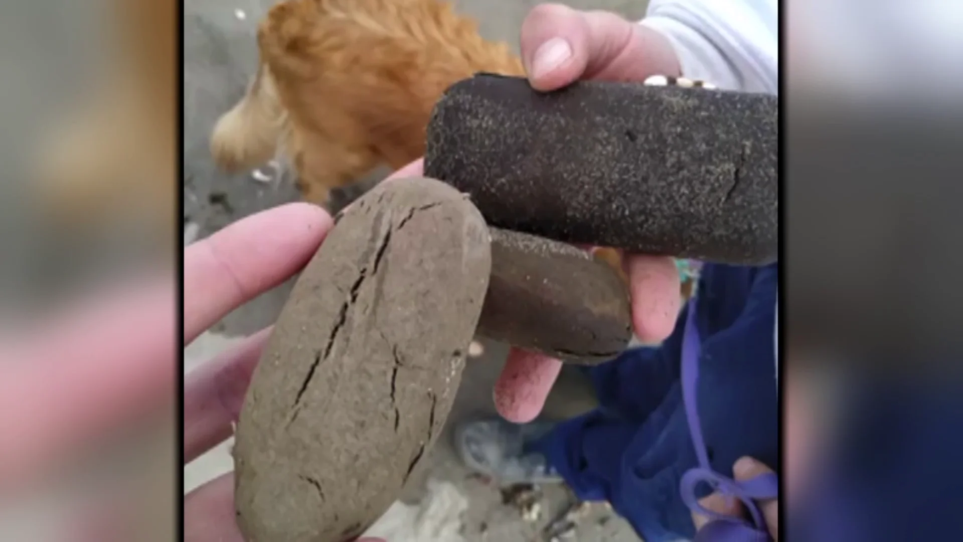 Trozos de hachís que el mar ha expulsado Trozos de hachís que el mar ha expulsado