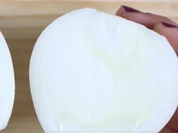 Cebolla Cebolla