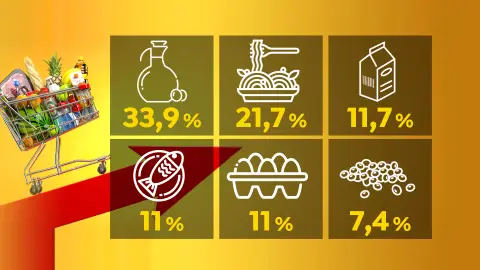 Cesta de la compra Cesta de la compra